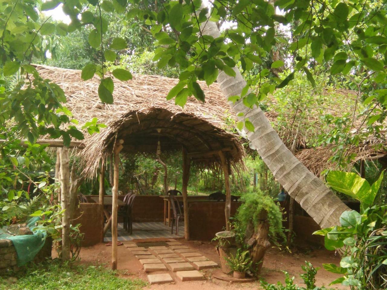 Gimanhala Cottage & Cookary Class Anuradhapura Εξωτερικό φωτογραφία